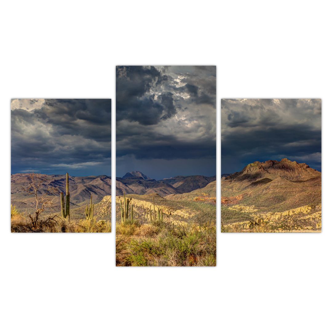 Obraz - kaktusy v přírodě (V020557V90603PCS)