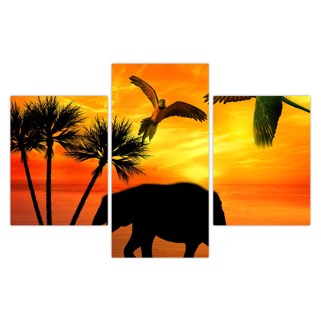 Obraz - papoušci a sloni (V020562V90603PCS)