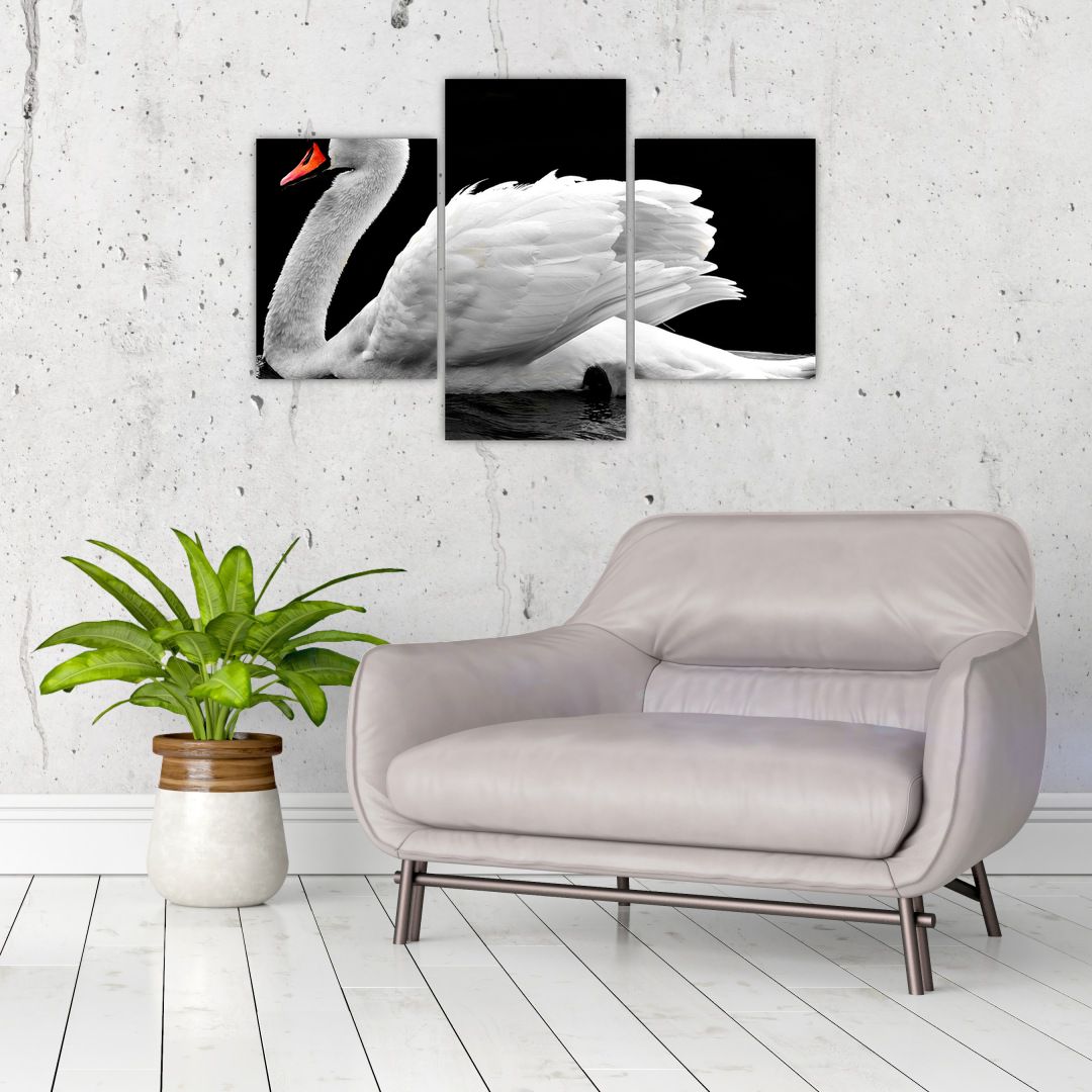 Obraz černobílé labutě (V020586V90603PCS)