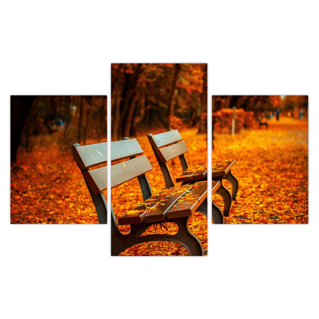 Obraz lavičky v podzimu (V020588V90603PCS)