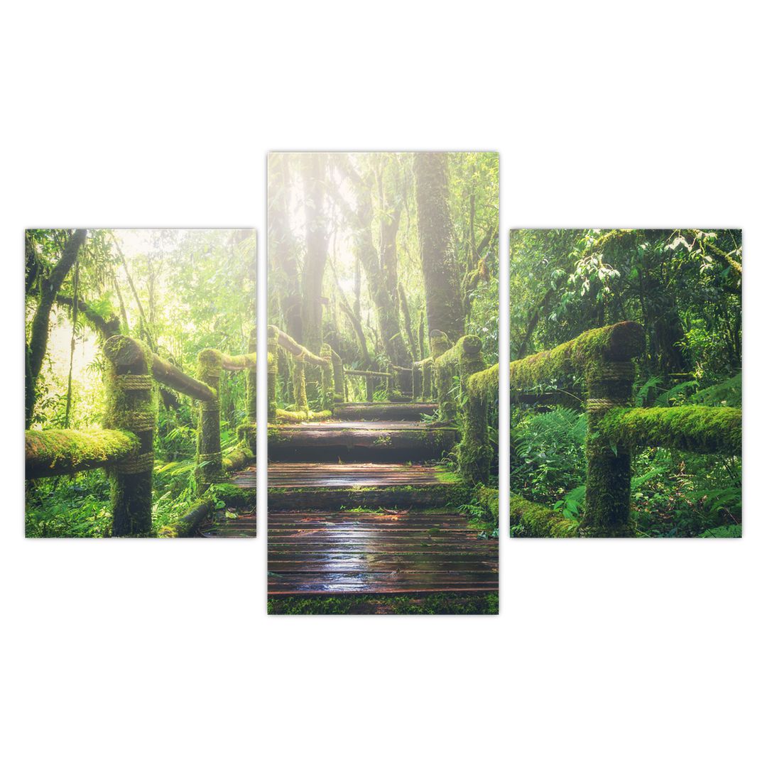 Obraz - dřevěné schody v lese (V020593V90603PCS)