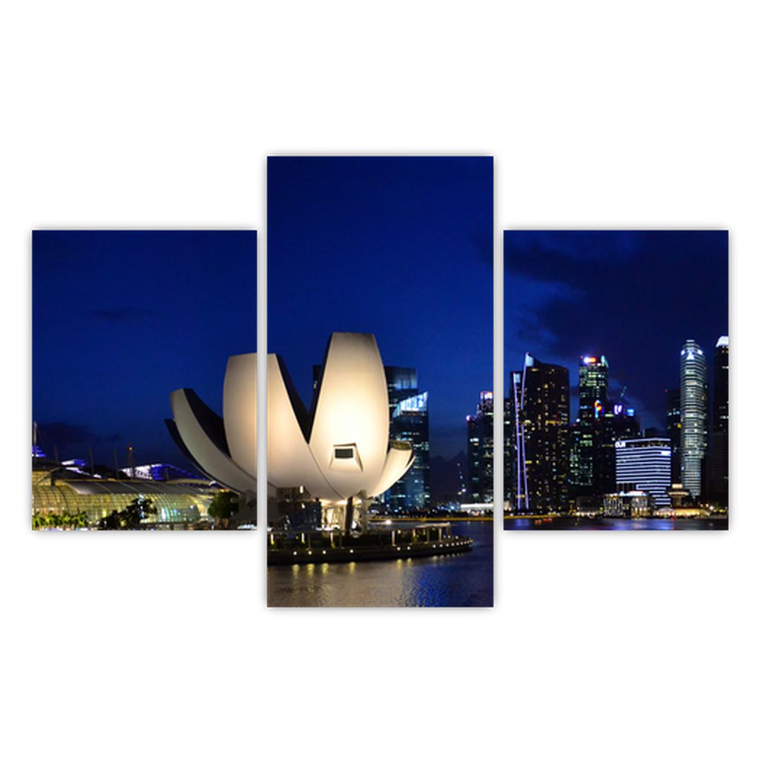 Obraz nočního Singapouru (V020610V90603PCS)