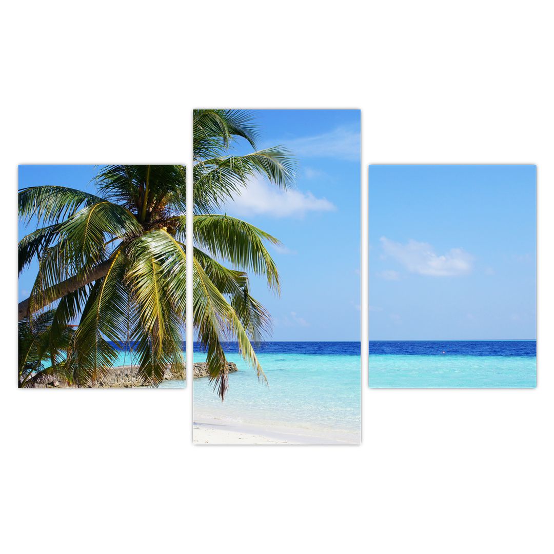 Obraz palmy na pláži (V020612V90603PCS)