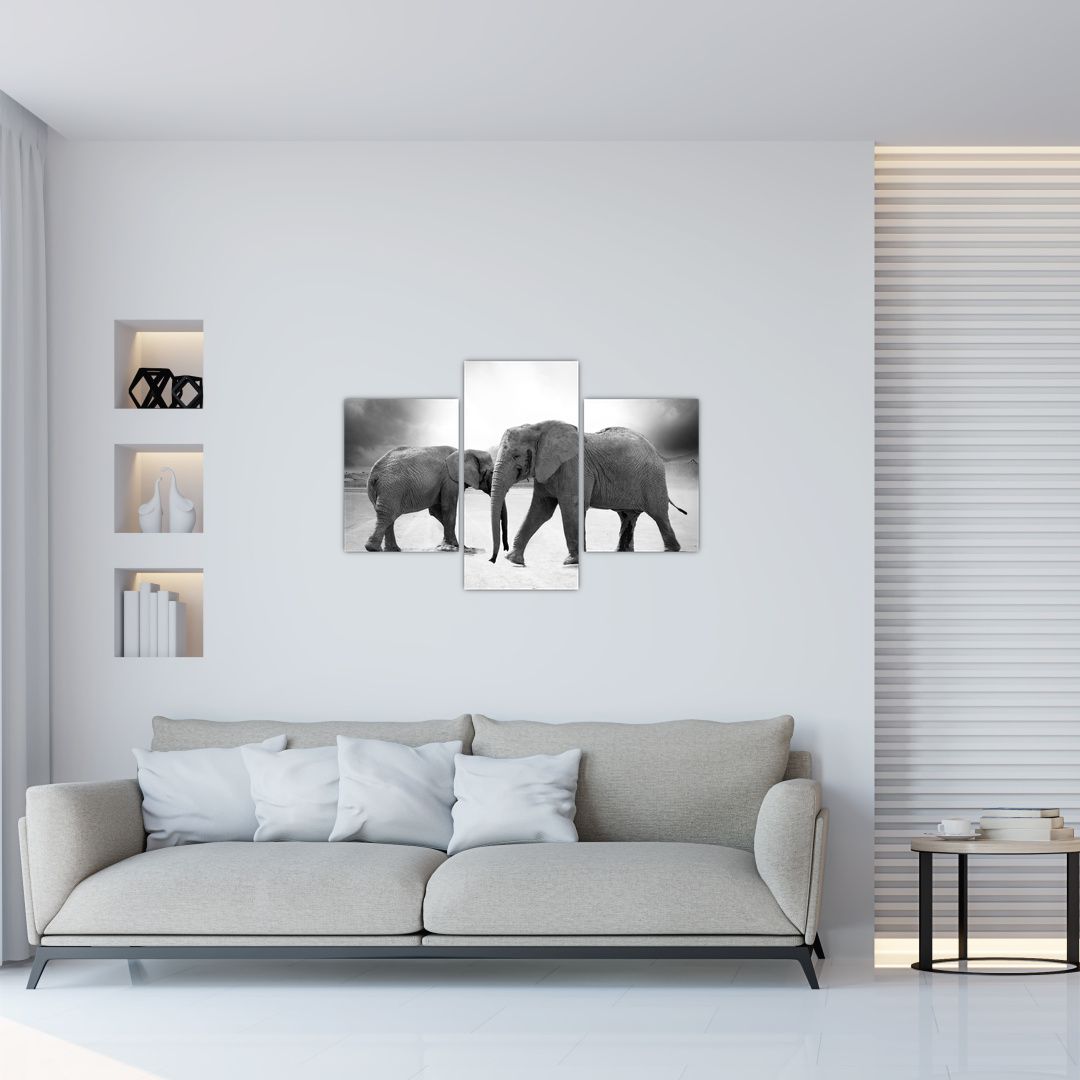 Tablou cu elefanți (V020900V90603PCS)
