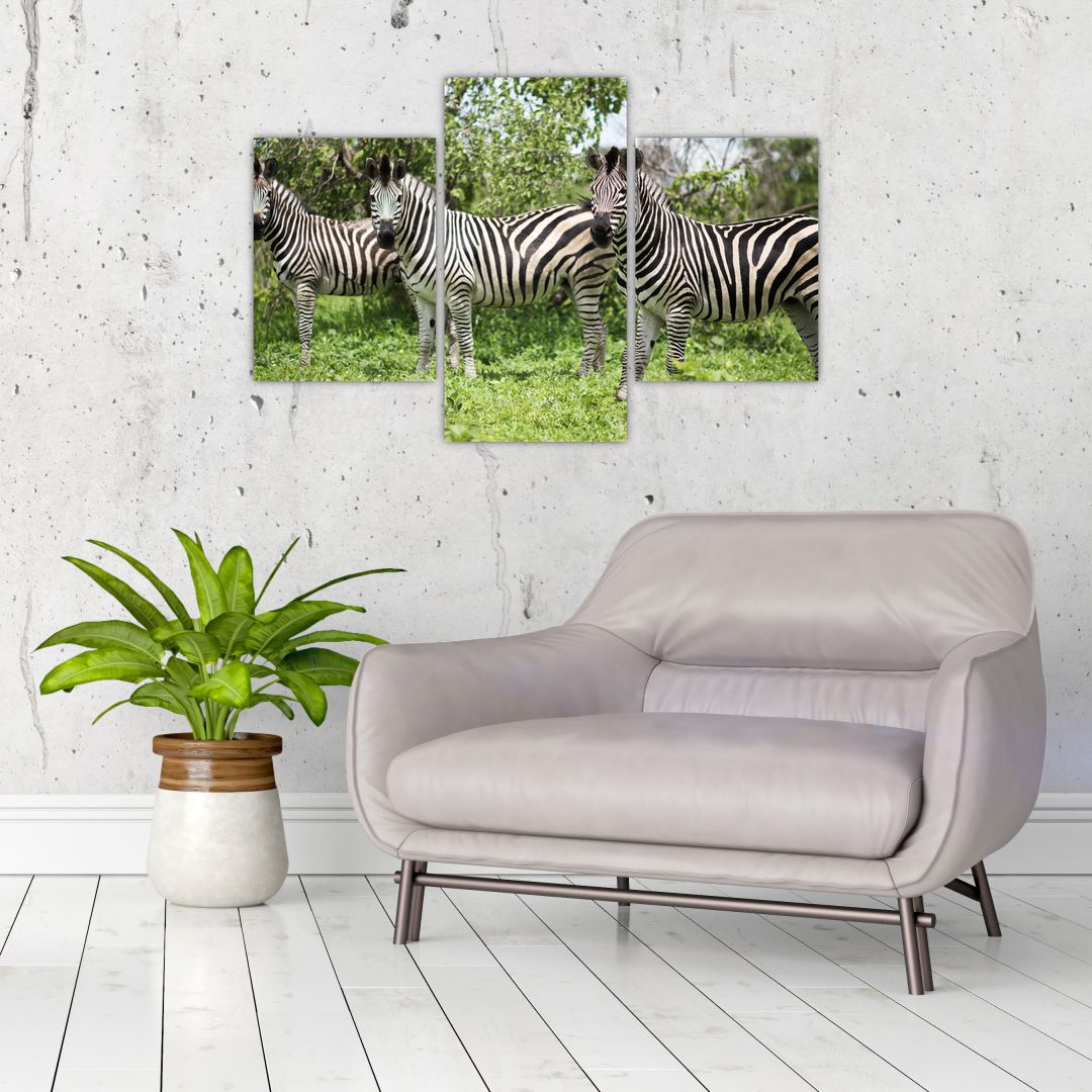 Obraz s zebrami (V020921V90603PCS)