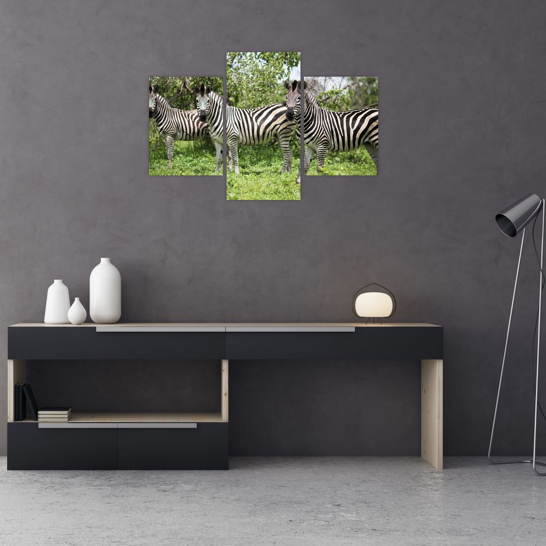 Obraz s zebrami (V020921V90603PCS)