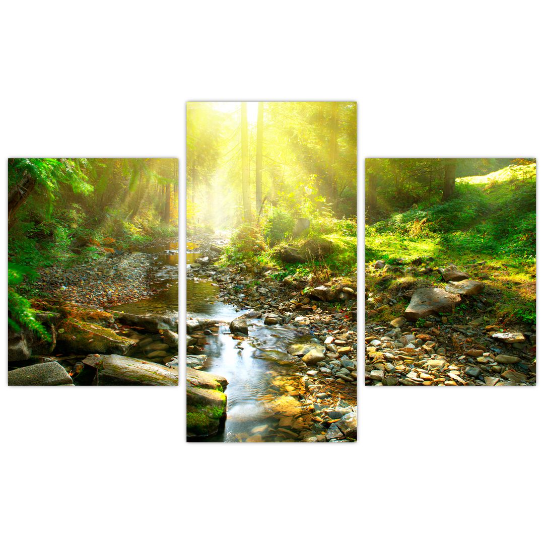 Obraz řeky v zeleném lese (V020942V90603PCS)