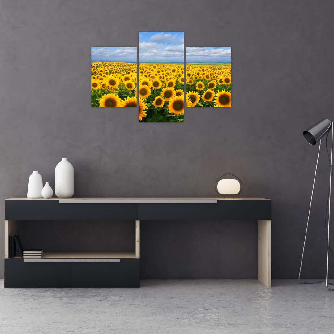 Obraz slunečnicového pole (V020946V90603PCS)