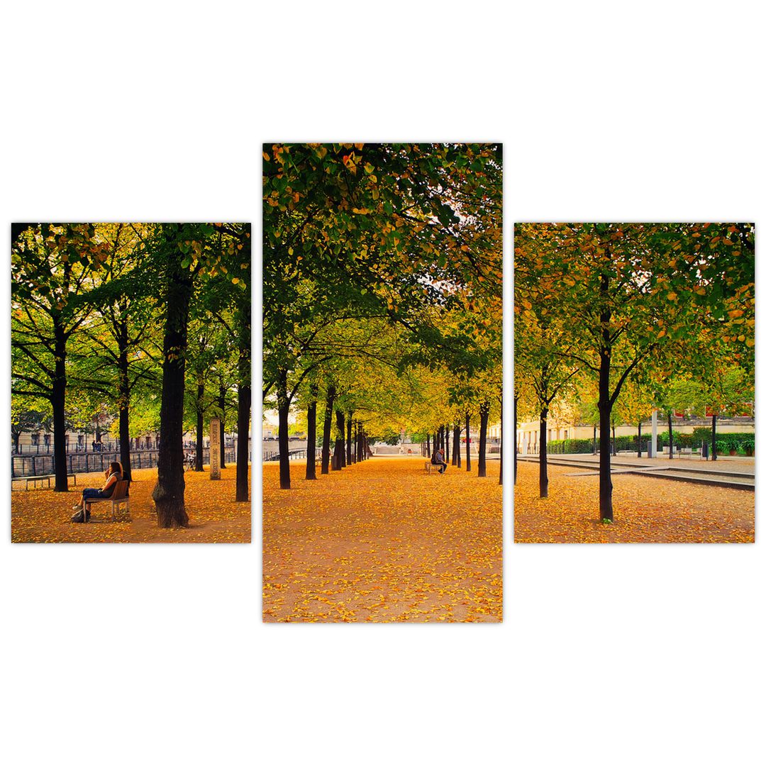 Obraz aleje podzimních stromů (V020953V90603PCS)