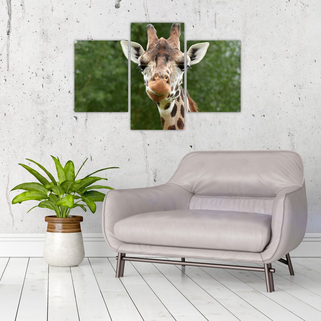 Obraz žirafy (V020969V90603PCS)
