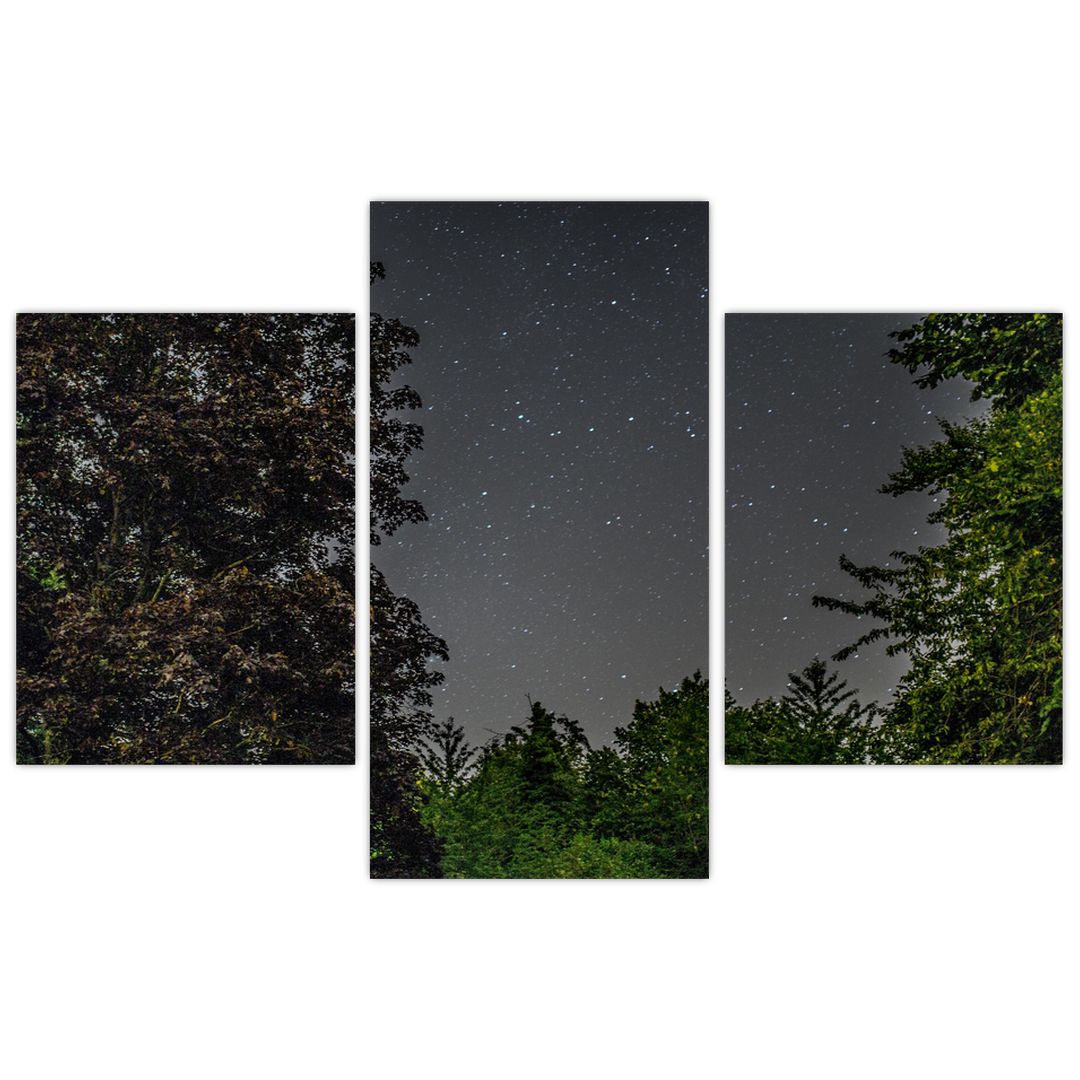 Obraz noční oblohy (V020998V90603PCS)
