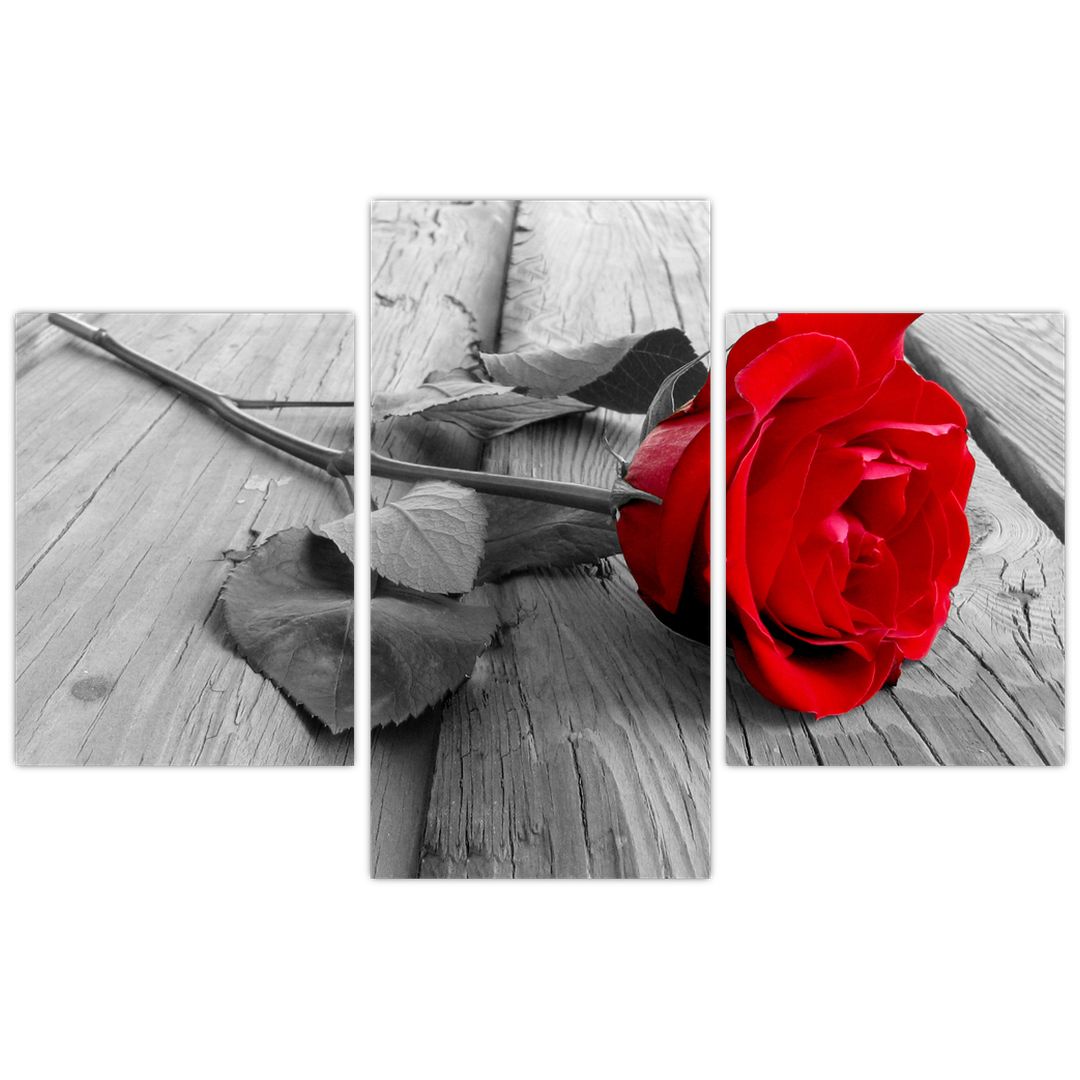 Obraz rudé růže (V022288V90603PCS)
