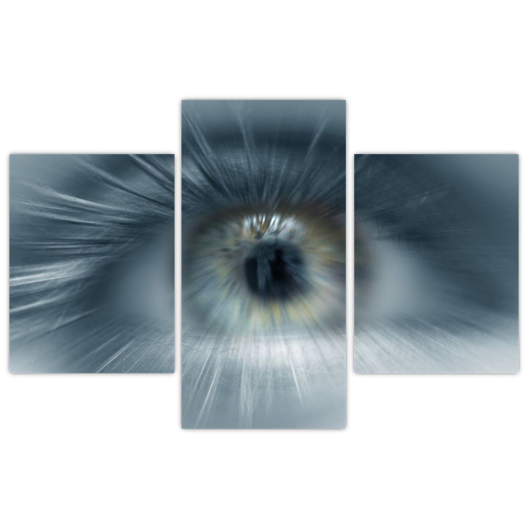 Obraz  - Pohled oka (V022319V90603PCS)