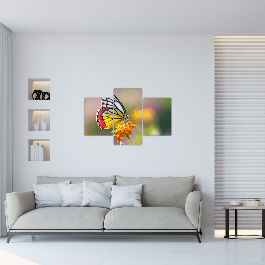 Obraz motýla na květu (V022330V90603PCS)